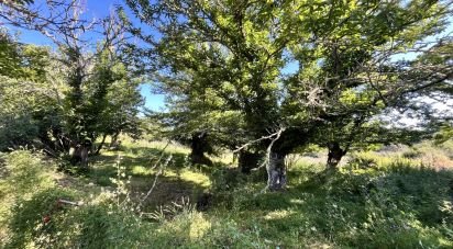 Land of 7,974 m² in Fuenteheridos (21292)