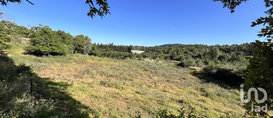 Land of 7,974 m² in Fuenteheridos (21292)