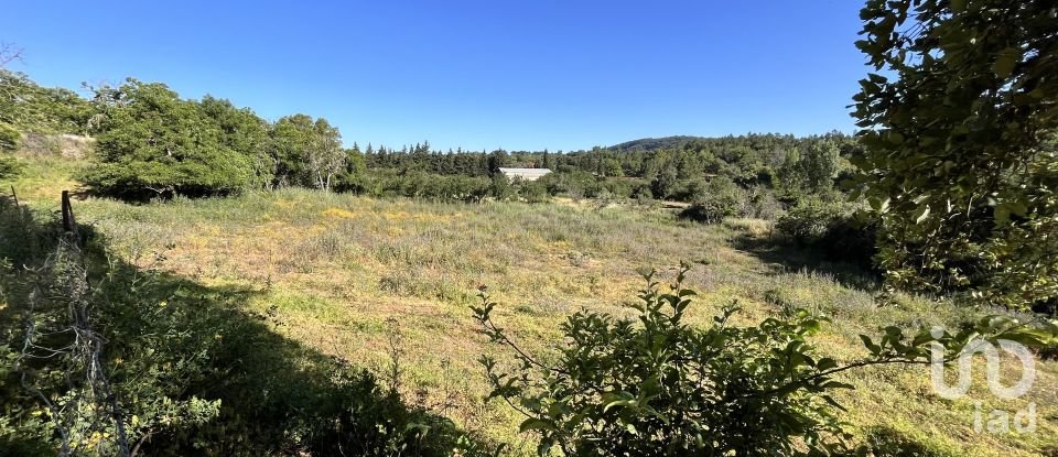 Land of 7,974 m² in Fuenteheridos (21292)