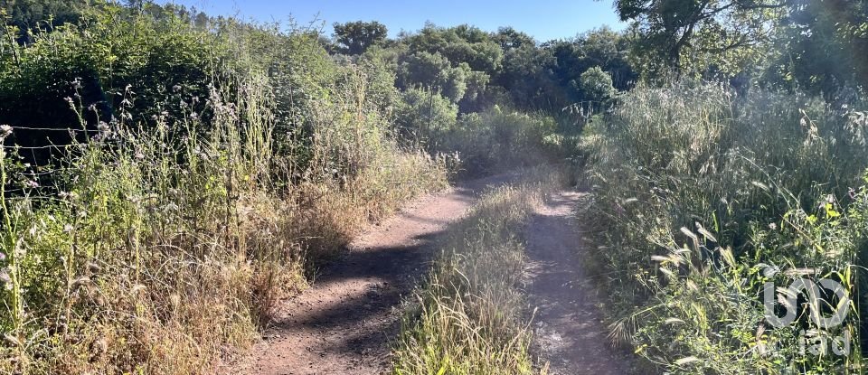 Terreno de 7.974 m² en Fuenteheridos (21292)