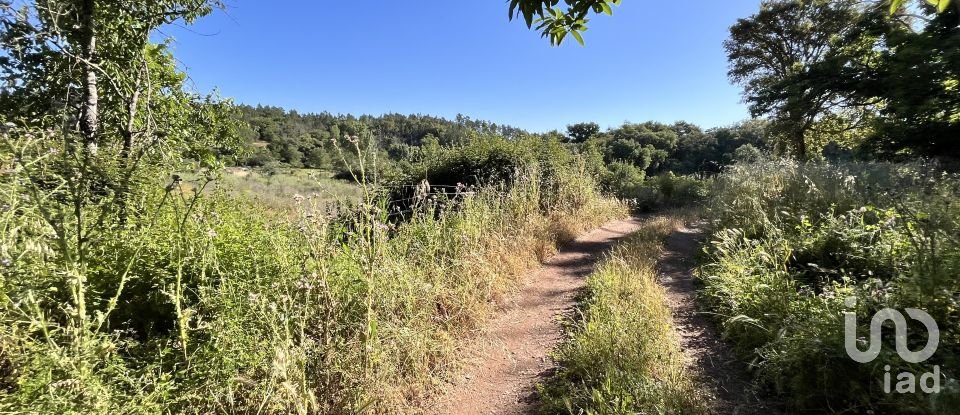 Terreno de 7.974 m² en Fuenteheridos (21292)