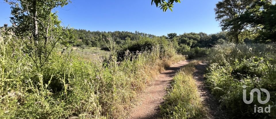 Terreno de 7.974 m² en Fuenteheridos (21292)