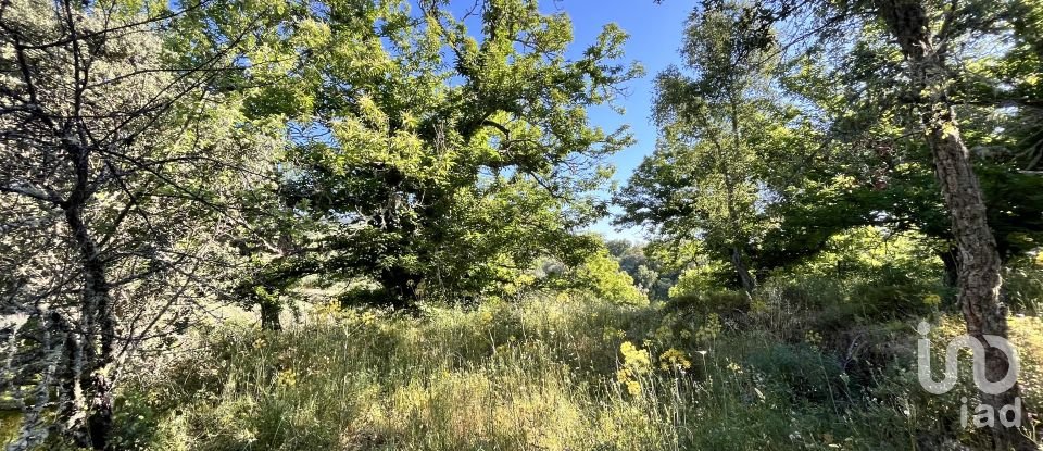 Terreno de 7.974 m² en Fuenteheridos (21292)