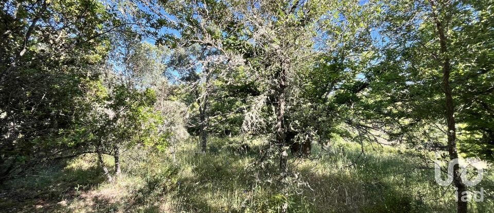 Terreno de 7.974 m² en Fuenteheridos (21292)