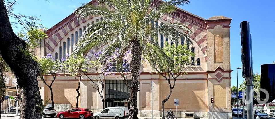 Bâtiment de 435 m² à Tortosa (43500)