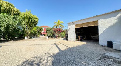 Maison de campagne 4 chambres de 116 m² à Pego (03780)