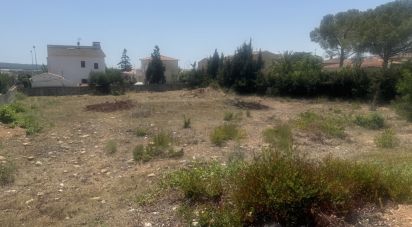 Terreno de 1.200 m² en Santa Oliva (43710)