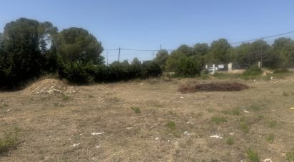 Terra de 1.200 m² a Santa Oliva (43710)