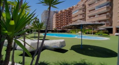 Apartment 2 bedrooms of 97 m² in Oropesa/Oropesa del Mar (12594)