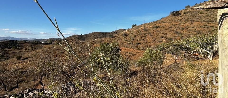 Terreno de 36.000 m² en Málaga (29014)