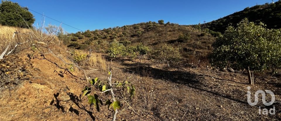 Terreno de 36.000 m² en Málaga (29014)