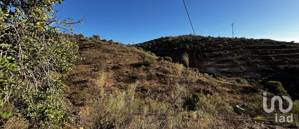 Terreno de 36.000 m² en Málaga (29014)