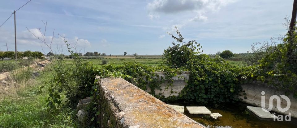 Terreno de 6.480 m² en Amposta (43870)