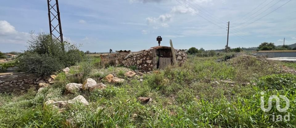 Terreno de 6.480 m² en Amposta (43870)