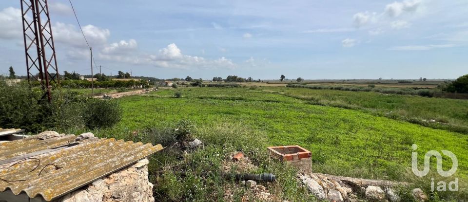 Land of 6,480 m² in Amposta (43870)