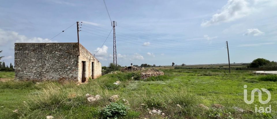 Land of 6,480 m² in Amposta (43870)