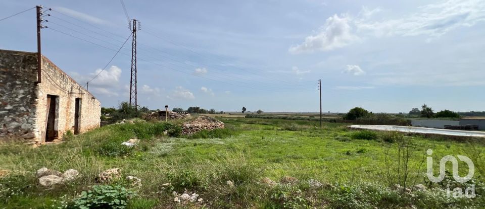 Land of 6,480 m² in Amposta (43870)