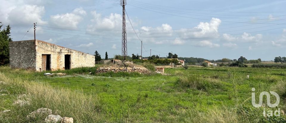 Land of 6,480 m² in Amposta (43870)