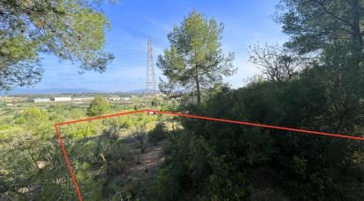 Terra de 5.488 m² a Vallmoll (43144)