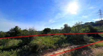 Terra de 2.633 m² a Vallmoll (43144)