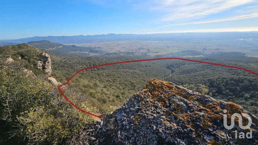 Terreno de 486.725 m² en Figuerola del Camp (43811)