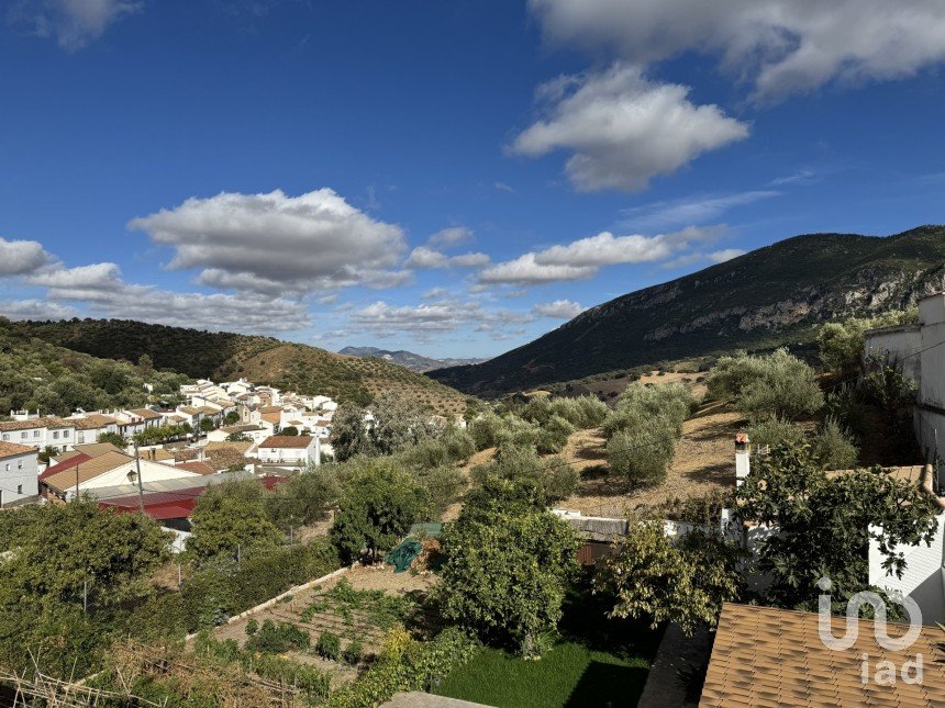 Casa adossada 2 habitacions de 100 m² a La Muela de Algodonales (11689)