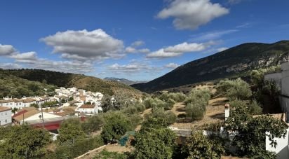 Town house 2 bedrooms of 100 m² in La Muela de Algodonales (11689)