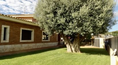 House 3 bedrooms of 719 m² in Cubelles (08880)