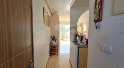 Block of flats 2 bedrooms of 61 m² in Torrevieja (03185)