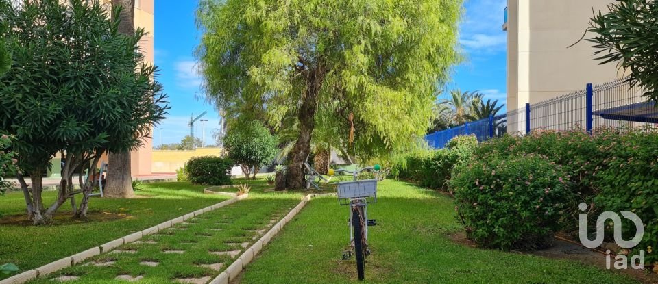 Block of flats 2 bedrooms of 61 m² in Torrevieja (03185)