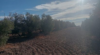 Terreno de 52.723 m² en Écija (41400)