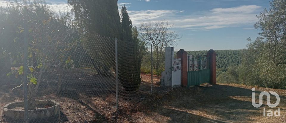 Terreno de 21.486 m² en Écija (41400)