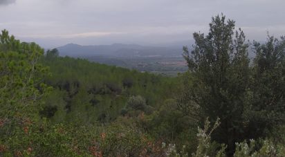 Land of 69,551 m² in Ginestar (43748)