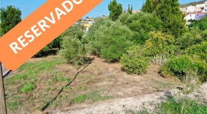 Terreno de 733 m² en Orba (03790)