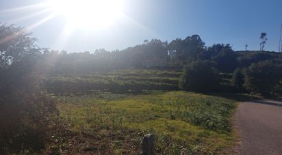 Terreno de 621 m² en Paradela (36616)