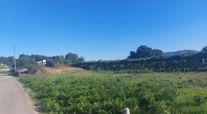 Land of 621 m² in Paradela (36616)