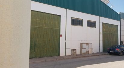 Shop / premises commercial of 400 m² in Cañada Rosal (41439)