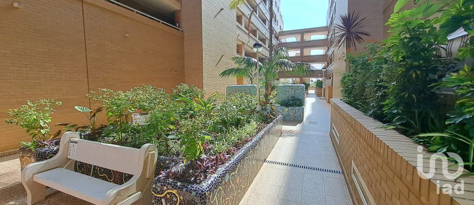 Pis 2 habitacions de 97 m² a Oropesa/Oropesa del Mar (12594)