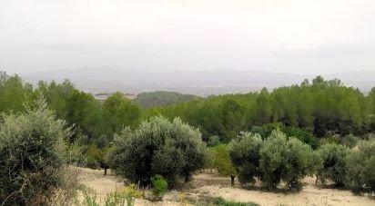 Land of 69,551 m² in Ginestar (43748)