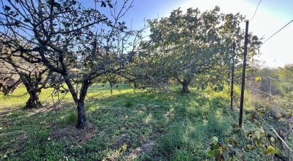 Terreno de 1.199 m² en Sant Llorenç d'Hortons (08791)