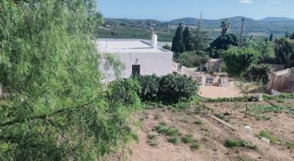 Maison de campagne 3 chambres de 78 m² à Sagunt/Sagunto (46500)