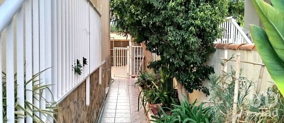 Gîte 0 chambre de 168 m² à Vinaros (12500)