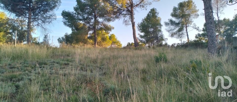 Terra de 1.058 m² a Masquefa (08783)