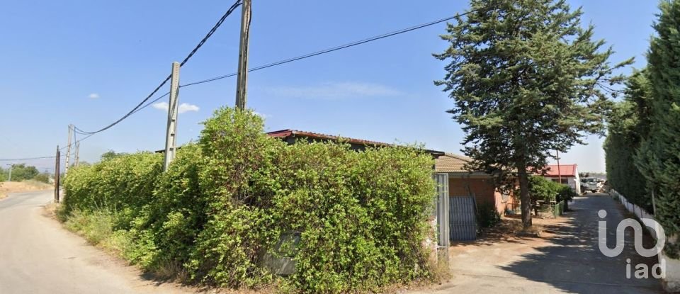 Immeuble de 384 m² à Fuente el Saz de Jarama (28140)