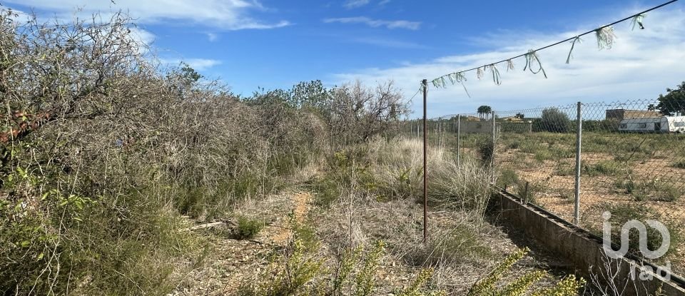 Terreno de 2.734 m² en Pego (03780)