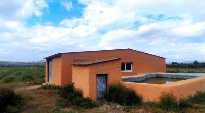 Terreno de 12.661 m² en Ginestar (43748)