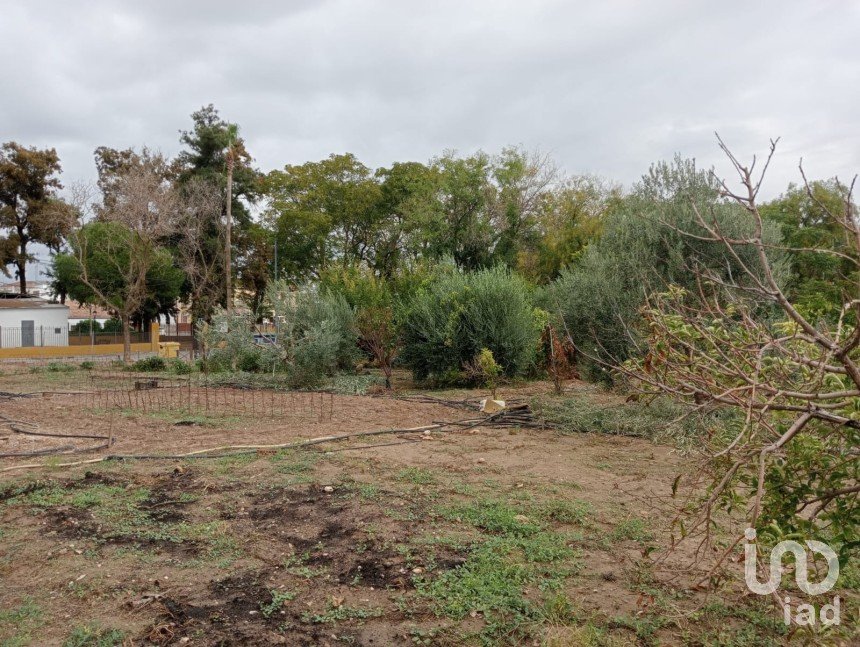 Terreno de 1.497 m² en Cañada Rosal (41439)