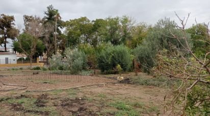 Terrain de 1 497 m² à Cañada Rosal (41439)