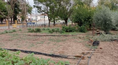 Terreno de 1.497 m² en Cañada Rosal (41439)