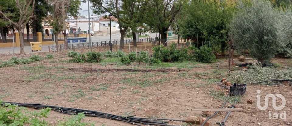 Terreno de 1.497 m² en Cañada Rosal (41439)